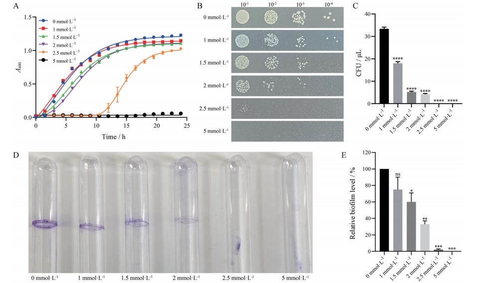 不同温度、pH值及H₂O₂作用下减毒沙门氏菌生长曲线及细菌生物膜的形成——结果