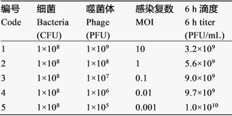 耐万古霉素粪肠球菌噬菌体一步生长曲线、温度和pH稳定性分析（一）
