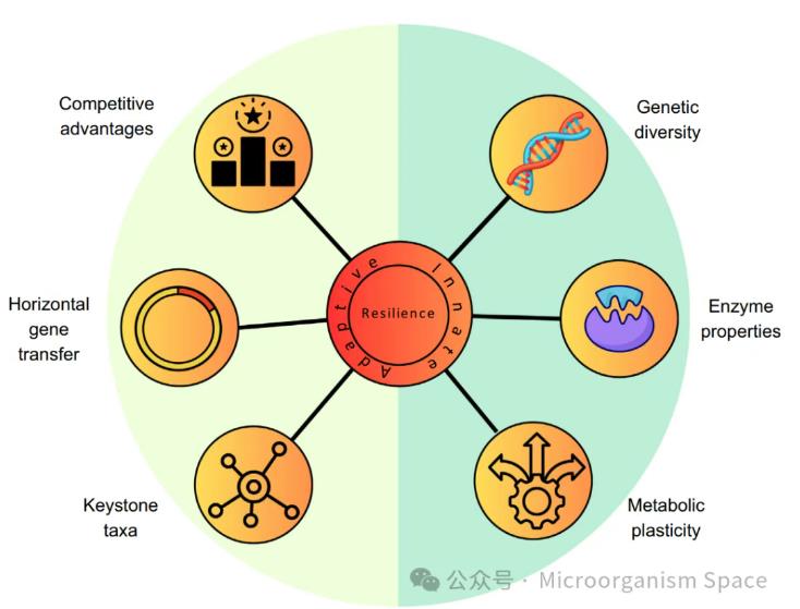 核心微生物群落中稀有物种重要性、持久性的生态驱动因素（三）