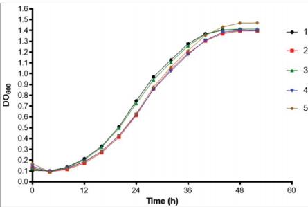 巴西孢子丝菌体内毒力、生长曲线、对氧化剂敏感性及抗真菌药敏试验（三）