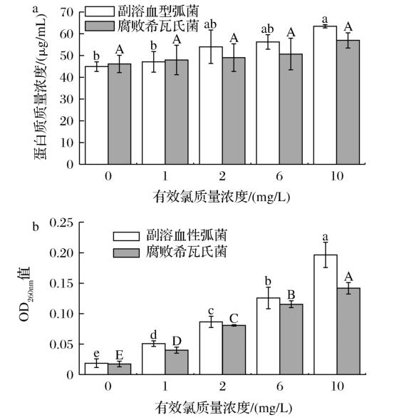 低浓度微酸性电解水对纯培养及海虾表面接种菌的杀菌效果以及作用机制（三）