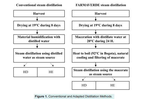 两种常规蒸馏方法获取的百里香、迷迭香精油及水馏液分子含量的变化（一）