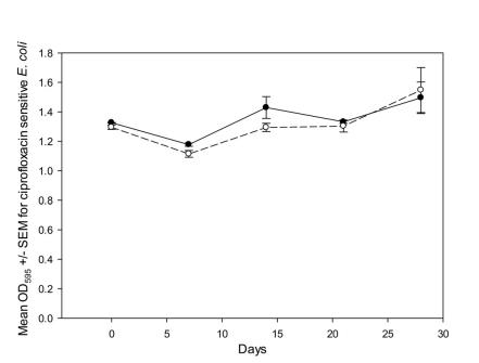 环丙沙星残留虚惊一场？微生物生长曲线绘制出堆肥安全图谱