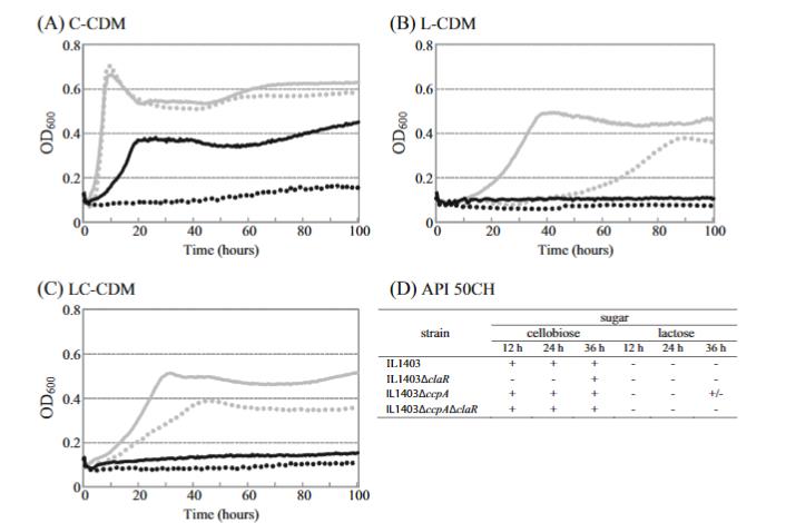解锁微生物代谢奥秘：新一代生长曲线分析平台加速乳糖/纤维二糖代谢研究​（二）