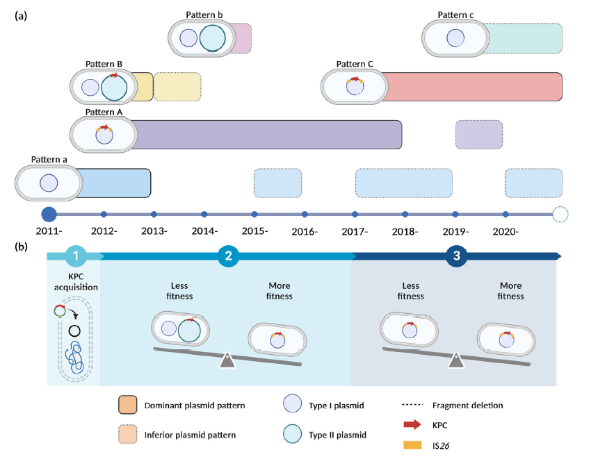 碳青霉不同浓度下​产肺炎碳青霉烯酶的铜绿假单胞菌分离株的生长曲线