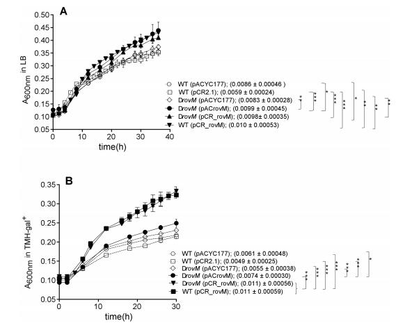 鼠疫耶尔森菌突变体生长曲线、生物膜形成及rovM和rovA转录的测定（三）
