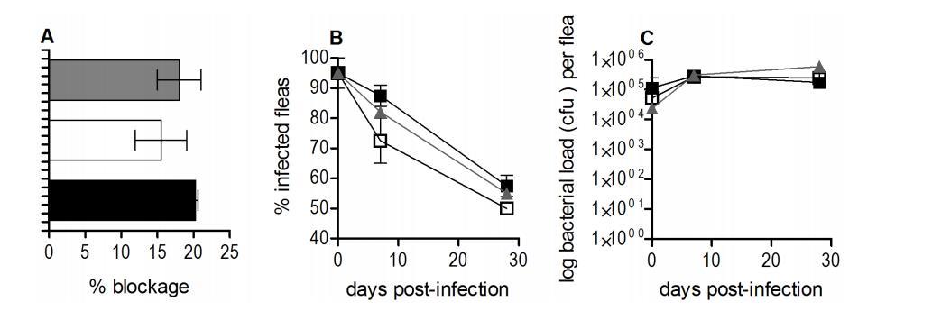 鼠疫耶尔森菌突变体生长曲线、生物膜形成及rovM和rovA转录的测定（四）