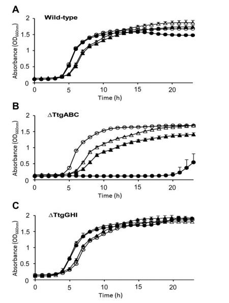 生长曲线分析仪监测下吲哚对恶臭假单胞菌 ΔttgABC 突变体抗生素耐受的影响（三）