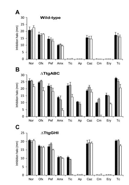 生长曲线分析仪监测下吲哚对恶臭假单胞菌 ΔttgABC 突变体抗生素耐受的影响（二）