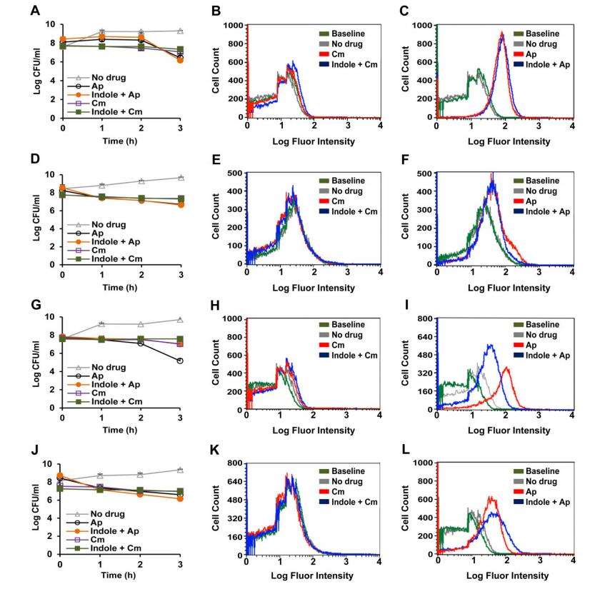 生长曲线分析仪监测下吲哚对恶臭假单胞菌 ΔttgABC 突变体抗生素耐受的影响（一）
