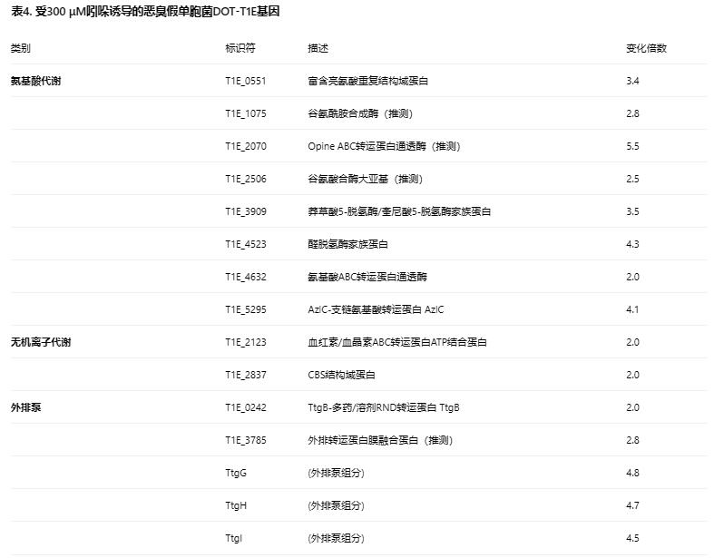 生长曲线分析仪监测下吲哚对恶臭假单胞菌 ΔttgABC 突变体抗生素耐受的影响（四）