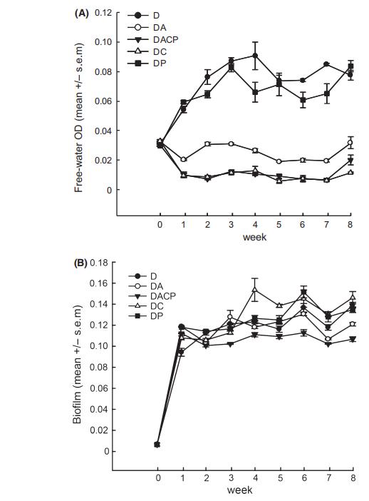 原生动物而非噬菌体主导对细菌的长期下行调控（一）