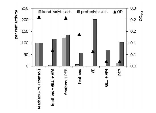 微生物生长曲线分析仪评估藤黄微球菌角蛋白酶生产条件及分解潜力（二）