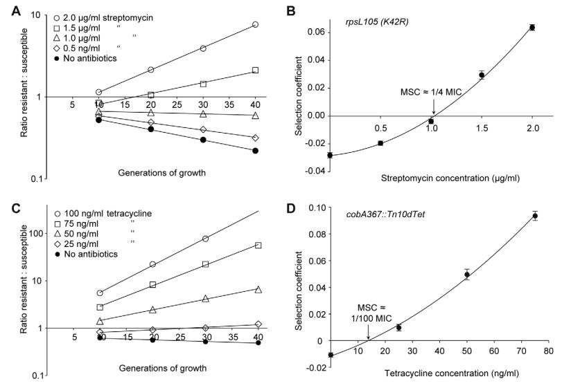 高灵敏度竞争实验：亚最小抑制浓度下耐药菌突变体的选择与富集（一）