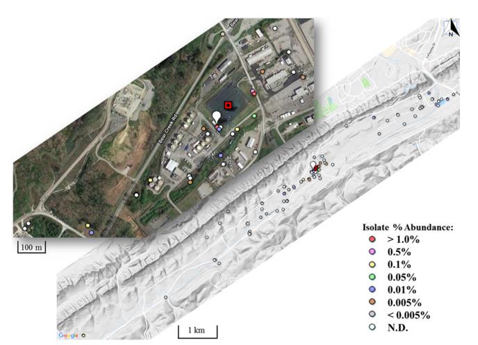橡树岭保护区耐多金属硝酸盐还原微生物的分离与表征（五）