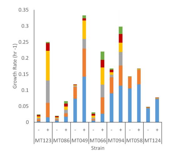 橡树岭保护区耐多金属硝酸盐还原微生物的分离与表征（二）