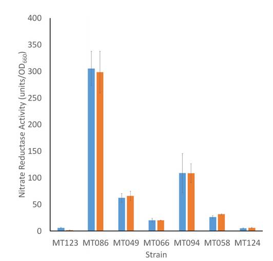 橡树岭保护区耐多金属硝酸盐还原微生物的分离与表征（四）