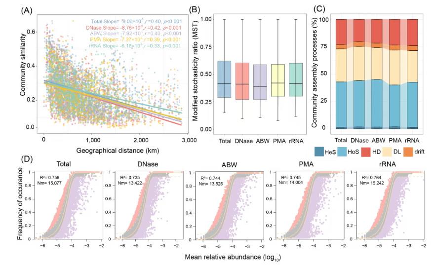 大尺度环境样本土壤活体微生物研究方法评估与验证（五）