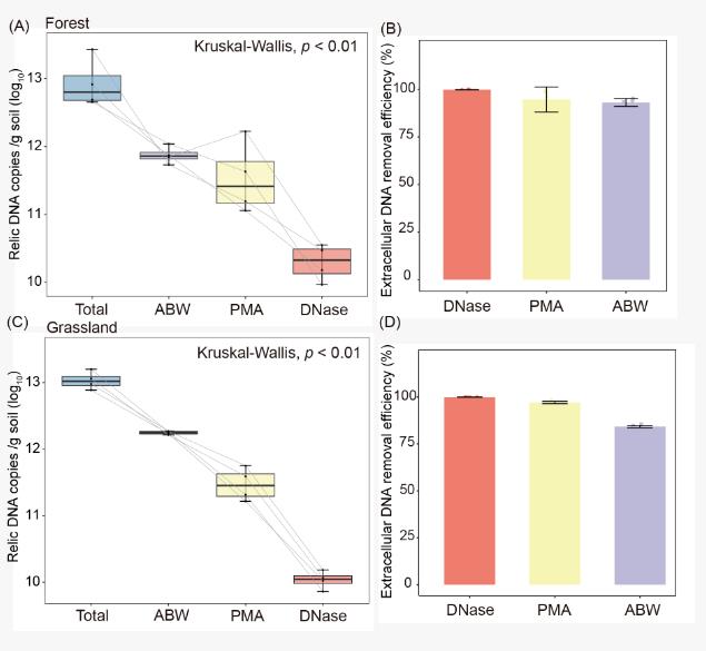 大尺度环境样本土壤活体微生物研究方法评估与验证（四）