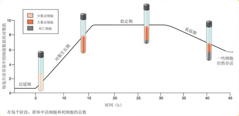 ​细菌如何通过