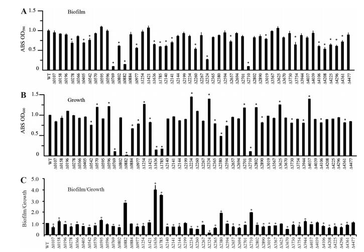 微生物生长曲线分析仪助力嗜麦芽窄食单胞菌组氨酸激酶库的功能图谱绘制（三）