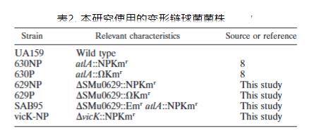 Bioscreen C实时监测变形链球菌生物膜形成氧依赖性调控机制（一）