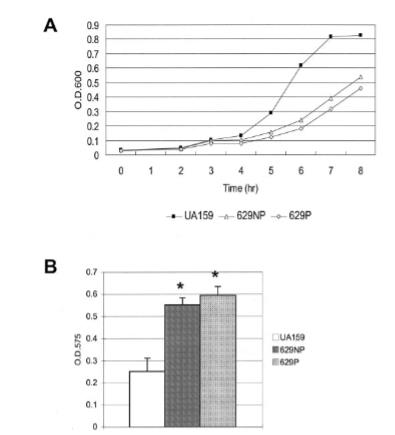 Bioscreen C实时监测变形链球菌生物膜形成氧依赖性调控机制（三）