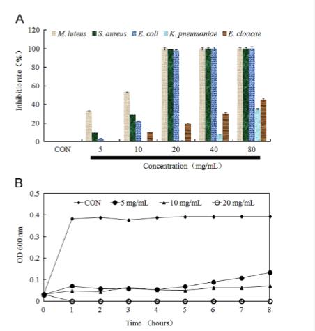 贯叶连翘提取物通过诱导凋亡样死亡抑制藤黄微球菌生长（一）