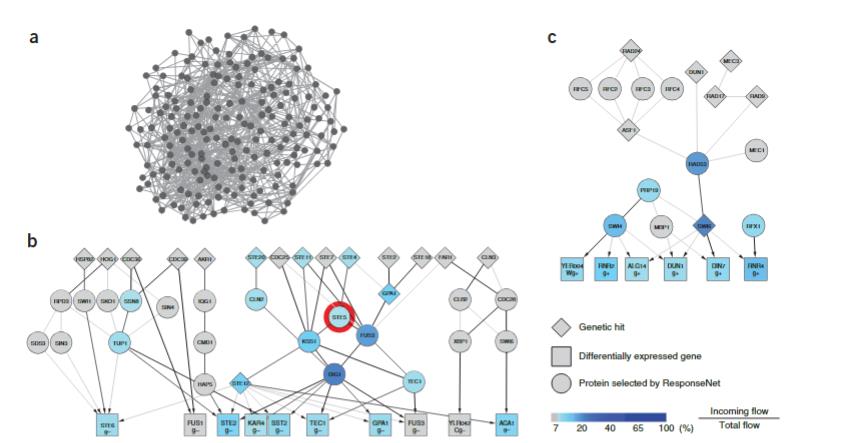 生长曲线分析仪应用于​帕金森病相关蛋白毒性机制的跨物种研究（二）