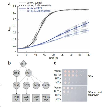 生长曲线分析仪应用于​帕金森病相关蛋白毒性机制的跨物种研究（三）