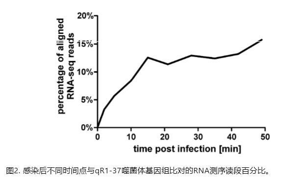 温度依赖性生长曲线揭示φR1-37广谱感染特性及其转录重编程机制（一）