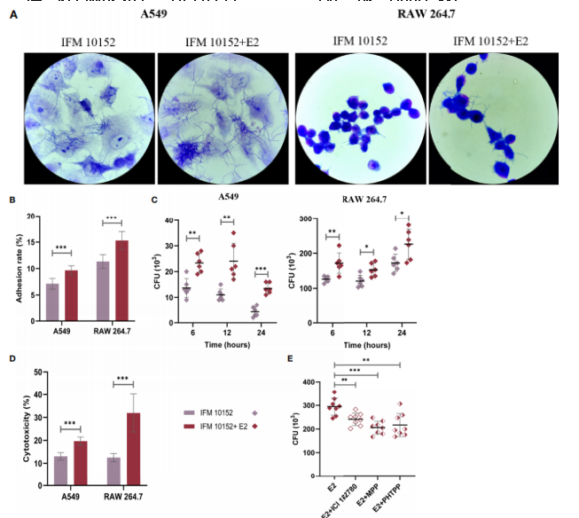 生长曲线仪：17β-雌二醇（E2）在诺卡氏菌感染中的负面调控作用（二）