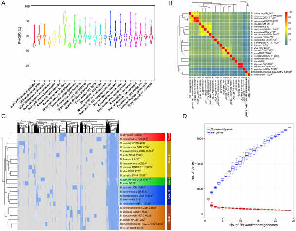 微生物生长曲线分析仪探讨短小单胞菌属的生物学特性、致病潜力及进化关系（一）