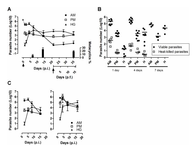 微生物生长曲线分析仪：克氏锥虫在媒介肠道内的定植策略与生存智慧（一）