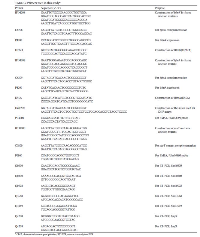 新发现BfmAK信号系统控制嗜麦芽寡养单胞菌生物膜形成（二）