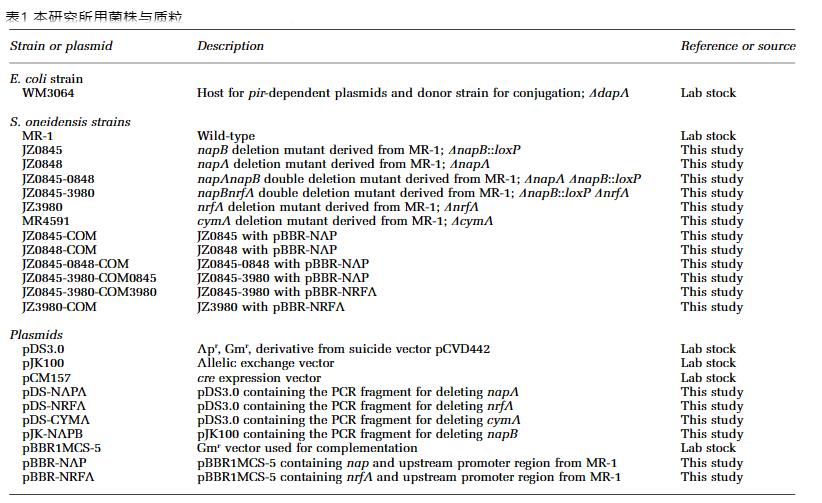 生长曲线分析仪解析希瓦氏菌呼吸性硝酸盐铵化途径的遗传与生理机制（一）