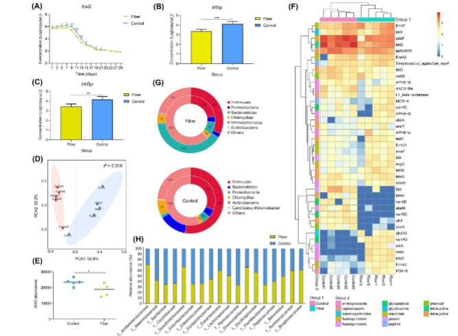 短链脂肪酸介导高纤维饮食抑制耐药基因接合转移的分子机制（一）