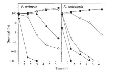 新型环状阳离子多肽的从头设计及其对植物病原细菌的抑制作用（三）