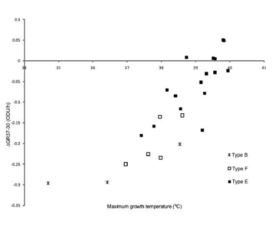 24株II组肉毒梭菌菌株最低和最高生长温度下的生长速率测定（三）