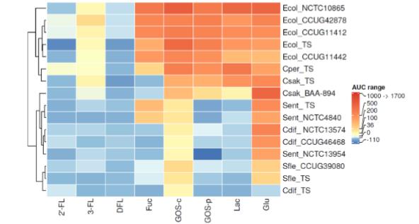 双歧杆菌和拟杆菌属特异性利用人乳寡糖的机制研究（五）
