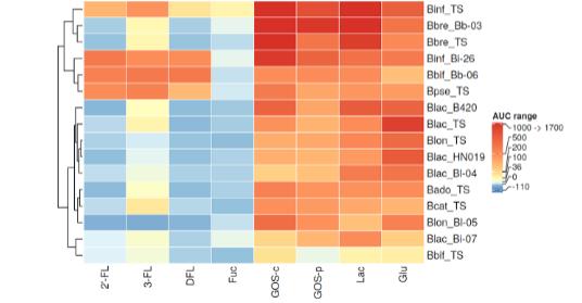 双歧杆菌和拟杆菌属特异性利用人乳寡糖的机制研究（三）