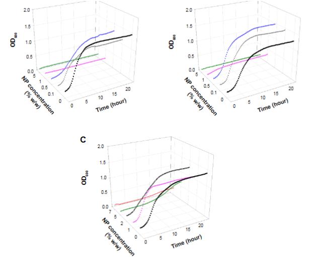 钙磷酸盐与PMMA骨水泥中纳米颗粒对抗耐药菌株的潜力与机制探讨（三）