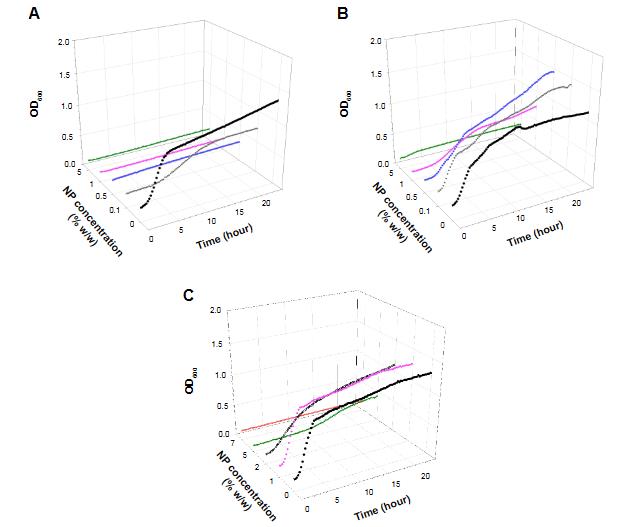 钙磷酸盐与PMMA骨水泥中纳米颗粒对抗耐药菌株的潜力与机制探讨（一）