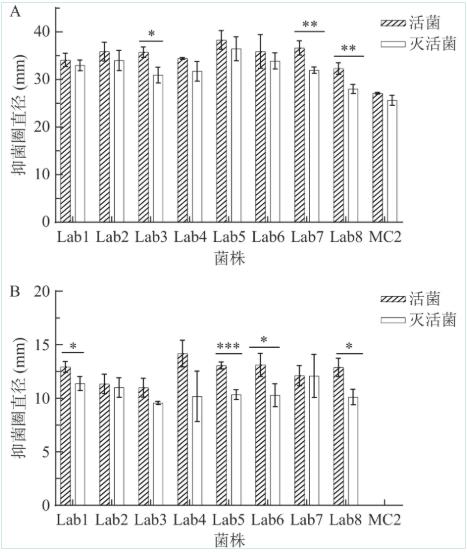 副干酪乳杆菌Lab5生长曲线、后生元热稳定性及在杜黑猪肉低温储藏中保鲜效果的应用（一）