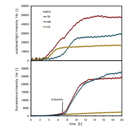在线监测散射光与荧光的微滴度板高通量发酵系统：BioLector的方法验证与应用（五）