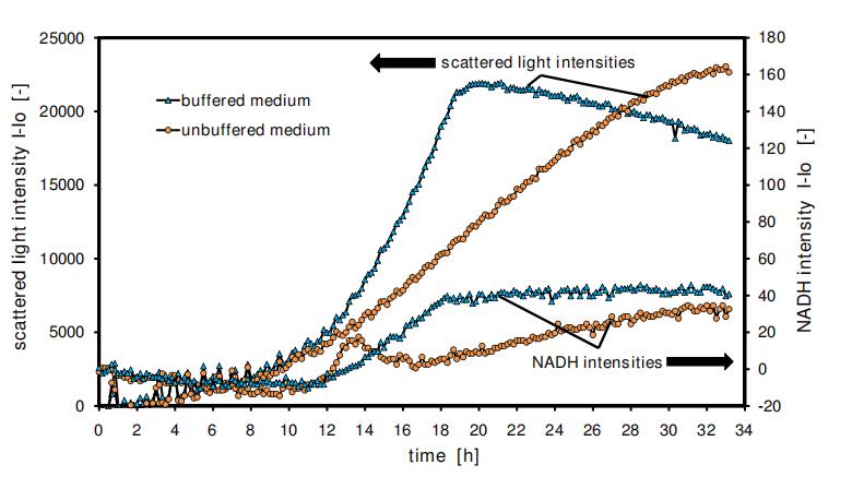 在线监测散射光与荧光的微滴度板高通量发酵系统：BioLector的方法验证与应用（四）