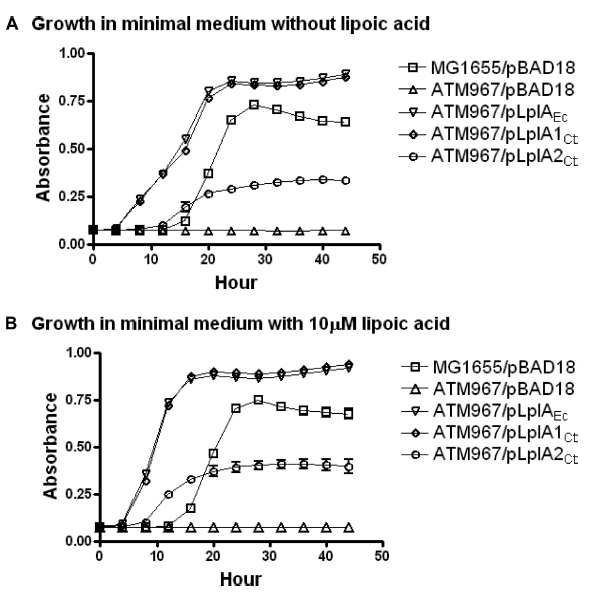 一种基于调控 VicR 磷酸化水平抑制变形链球菌致龋性的新策略