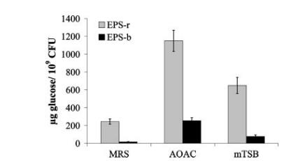 环境和遗传因素对鼠李糖乳杆菌GG生物膜形成、生长曲线的影响（四）
