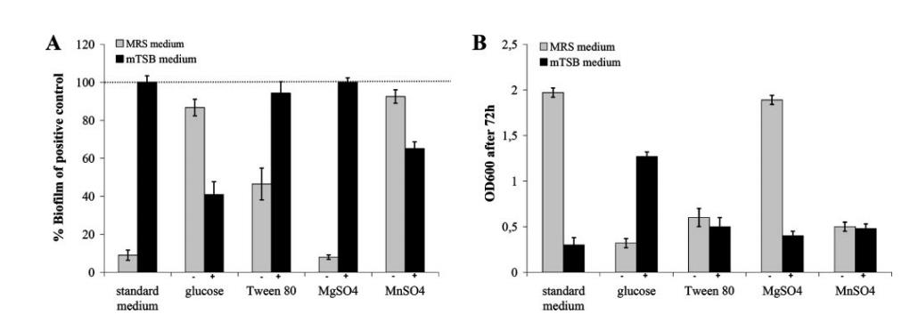 环境和遗传因素对鼠李糖乳杆菌GG生物膜形成、生长曲线的影响（二）