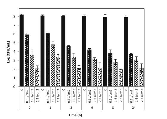 从孢子到营养体：枯草芽孢杆菌对脉冲光照敏感性的阶段性变化